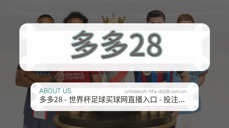 多多28关于我们